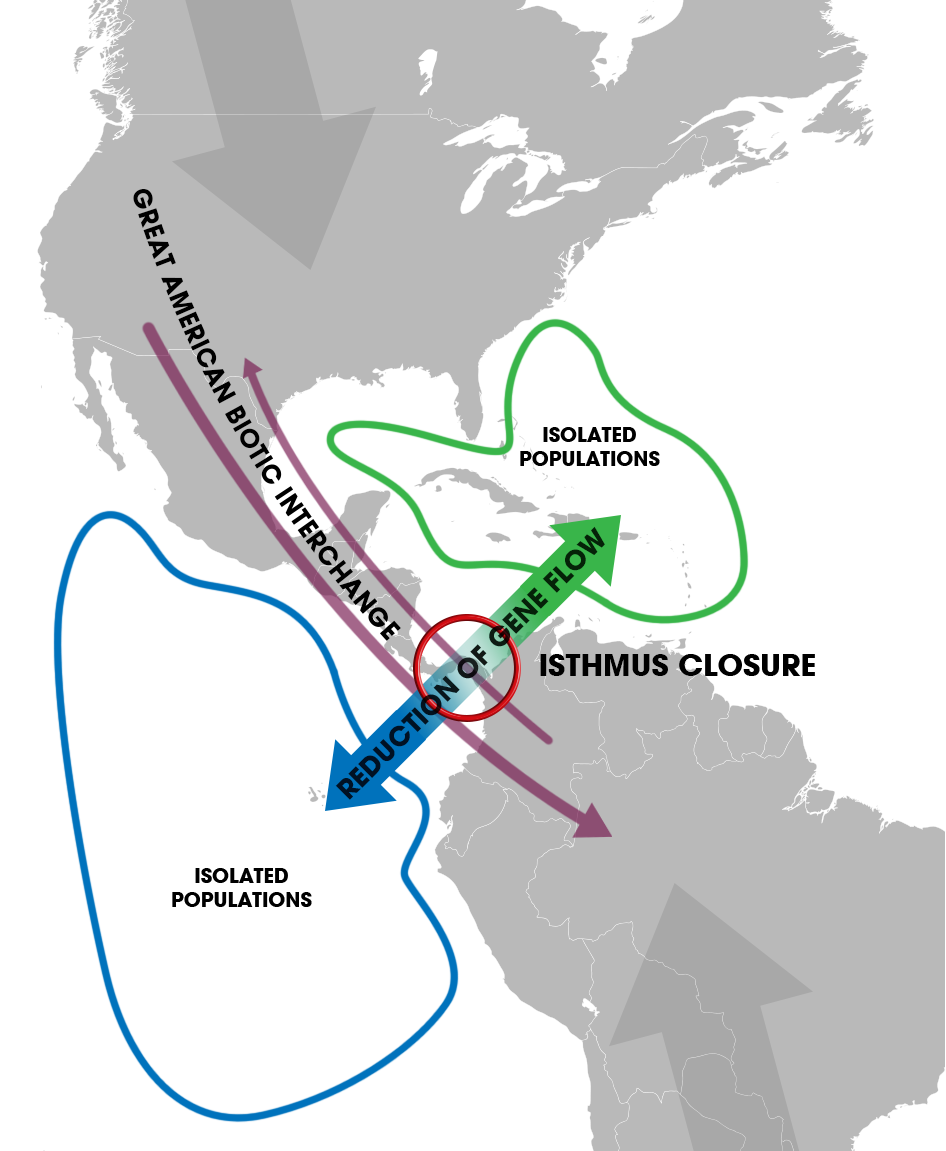 Isthmus of Panama