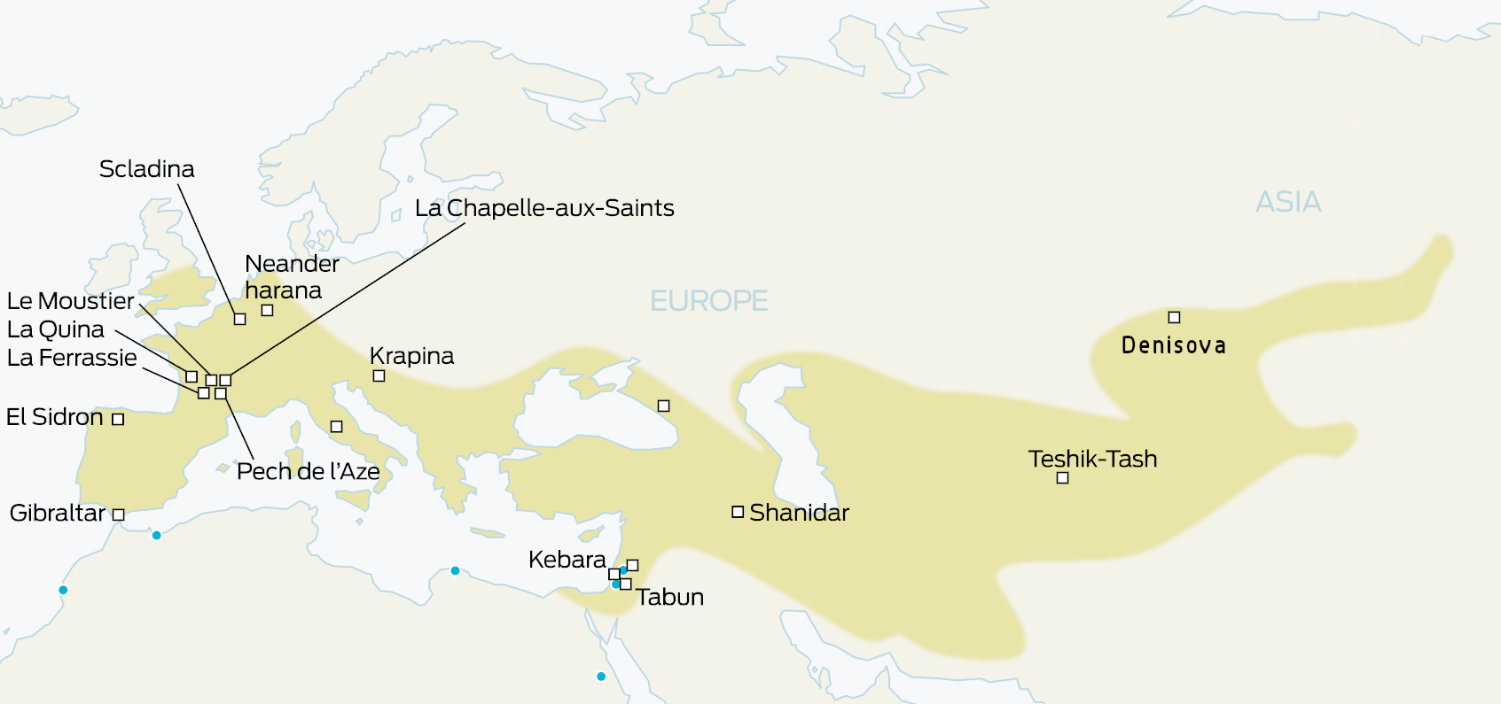 Homo Neanderthalensis